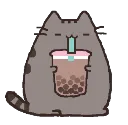 kc_bobacat