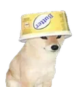 _ButterDog