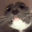 ALLP_HyperCat