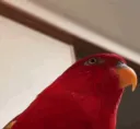 wuewuewue