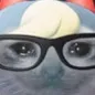 raymond5cry