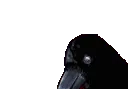 834795808054312992 834795808054312992
