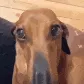YaSmellG