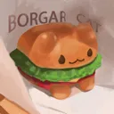 borgarcat