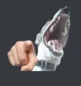 dogpoint