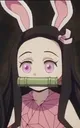 nezukobunny