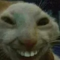 smile smile