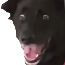 scared_dog Discord emoji