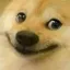yeye_doggy_smile