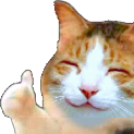 cathappythumb Discord emoji