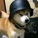 antibonk