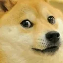 S5E_Doge Discord Emoji