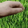 touchgrass