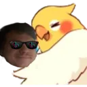 birbhugabb