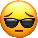 zz_damnbro