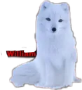 william_emoji