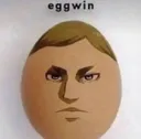 eggwin
