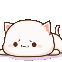 kittypout