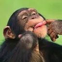 MonkeSmile MonkeSmile