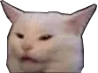 cat_ree