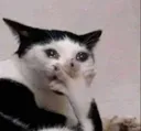 sujal_rethinking_life_decisions sujal_rethinking_life_decisions