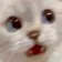 catPanic