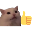 GatoLike_Dw Discord emoji