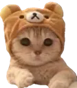 Era_sad_cat