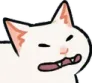angrycat2 angrycat2