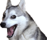YouFell Discord emoji
