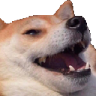 DogKek Discord emoji