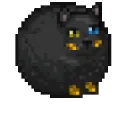 TGjbollorangevan