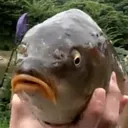 mewhenminho