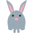 rabbit_front rabbit_front