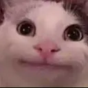 Cat Stare catstare Discord Emoji