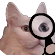 olafsearch