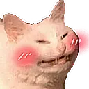 gpu_pet_catblush
