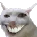 XD