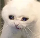catSob catSob