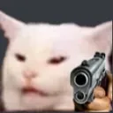 catwithgun