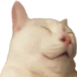 Spareme