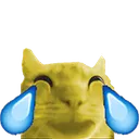 catlaugh