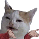 catConfused