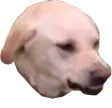 angery