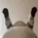 theballs theballs