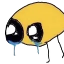 cry