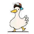 duckydance