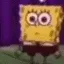 spongetwerk