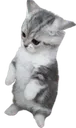 mpfp_waitwhat mpfp_waitwhat