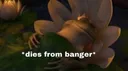 diesfrombanger diesfrombanger